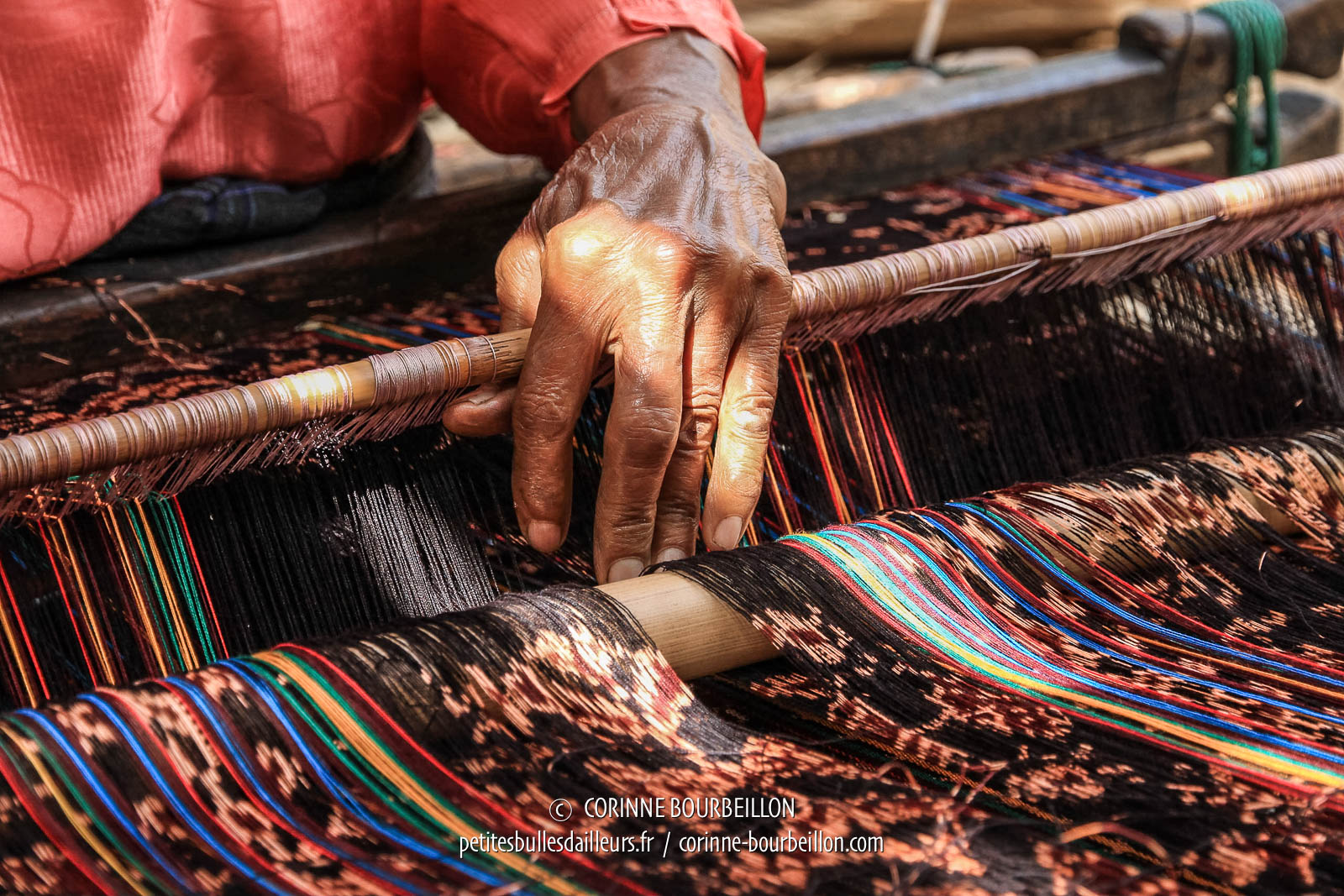 Viaje Tribal de Gujarat